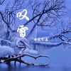辰艺遥 - 叹雪