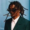 Jordan Ward - CHERIMOYA