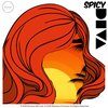 Massimo Carmassi - Spicy DIVA (Shake Your Bum Mix)