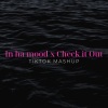 Xanemusic、Bull Beats - In Ha Mood x Check It Out (TikTok Mashup)(Remix)