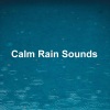 Rain Sounds & White Noise、Relaxing Rain Sounds、Meditation Rain Sounds、Rain Sounds - Calm Rain Sounds