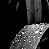 Meril storm、Janine Marcell、Bo Thelin - Lost