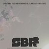 Lady Blacktronika - Breakin Wrekids