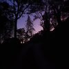 colours in the dark - one year has passed (look at all we've been through)