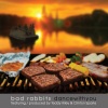 Bad Rabbits、Teddy Riley、Clinton Sparks - Dance With You