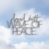 david kitt - Wave Of Peace (Edit)