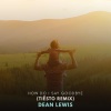 Dean Lewis、Tiësto《How Do I Say Goodbye (Tiësto Remix)》[MP3/LRC]