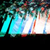solid groove - Amber Eyes