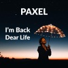 paxel《I'm Back Dear Life (Instrumental)》[MP3/LRC]