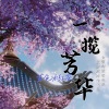蓝色冰红茶 - 一揽芳华