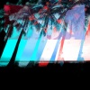 solid groove - Dancing in the Palm Trees