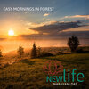 Narayani Das - Is This Love Or Not (Original Mix)