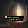 Restore Harmony - Reaching To My Soul (Original Mix)