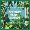 Calm Easy Mindful and Mellow Healing Music、Easy Malodic Mind Body Soul Balancing Ambient Harmonies - Sehaj Anand (Original Mix)