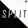 Zombie Cats - SPLIT