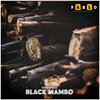 Dj Scobar、Ivan Afro 5 - Black Mambo (Original Mix)