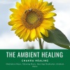 Easy Malodic Mind Body Soul Balancing Ambient Harmonies、Buddha Meditation and Deep Dhayana Music - Soft Breeze (Original Mix)