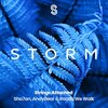 Sha7an、AndyBear、Roads We Walk - Strings Attached