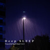 Rain Wonder、Sleep Meditation、Nature Lab - Soft and Relaxed Raindrops