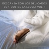 Relajacion Meditar Academia、Meditaciones Espirituales、Maestro Zen《Caen Muchas Gotas De Lluvia》[MP3/LRC]