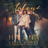 Havana、Lidia Buble、Adrian Funk、OLiX、Seniuc Sorin Adrian、Miron Alexandra、Chirinciuc Ion - Tatoué (Adrian Funk & OLiX Remix)