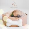 Relaxing Mode - Melody For A Dog’s Meal Time