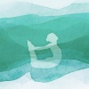 Canzoni rilassanti per lo yoga、Musica Rilassante Per Dormire Profondamente - Notti nella foresta