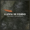 Lluvia del Bosque - Lluvia de Fondo Para Dormir Profundamente (p01)