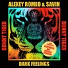 Alexey Romeo、Savin - Dark Feelings
