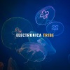 Brij JIVA - Being Psy (Original Mix)