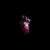 d4vd、David Anthony Burke - Poetic Vulgarity