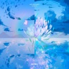PHONO、Aurora Sky - Neverland