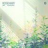 Calm Sounds、Caphy - Rosemary