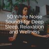 White Noise Therapy、Background Ambiances、The White Noise Travelers - Calm and Collected with 100 White Noise Tracks, Pt. 1