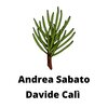 Andrea Sabato - Corocicò (Original Mix)