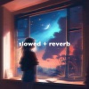 lofi..、slowed down music、DEE DEE HALLIGAN、JUNIOR TORELLO - what is love - slowed + reverb