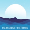 Morning Chill Out Playlist、Concentration、Exam Study、Study Music Library - Oceanic Productivity