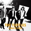 The Turtles - Come Over