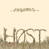 Høst - Ravnen