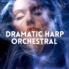 Raw Posto - Soft Emotions (Cinematic Piano)(Original Mix)