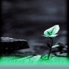 Alabanzas Celestiales、A Lonely Pianist、ChiilledCow、WY Lofi Music - A veces la vida no es cuestión de aptitud, sino de actitud