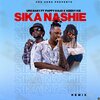 URG Baby、Pappy Kojo、Keeny Ice - Sika Nashie (Remix)