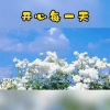公磊 - 开心过好每一天