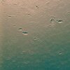 Andre Marques - DREAMS DIE AND NEVER COME BACK
