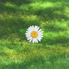 Toti cisneros、Sam Cross - Sun Is Up