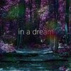 Varia - in a dream