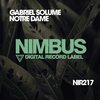Gabriel Solume - Notre Dame (Original Mix)