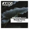 Ricardo Torres - U Know (Original Mix)
