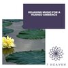 Cleanse & Heal - Inner Bliss (Original Mix)