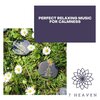 Zen Town - Natural Delights (Original Mix)